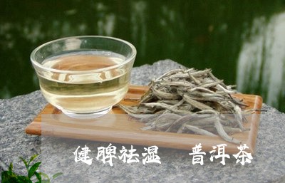 健脾祛湿 普洱茶/2023041027270